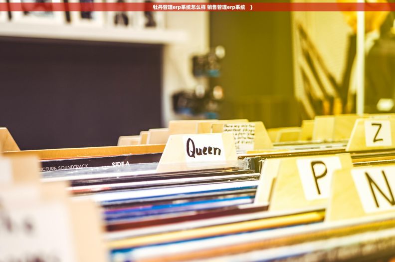 牡丹管理erp系统怎么样 销售管理erp系统    }         牡丹管理erp系统怎么样 销售管理erp系统    }