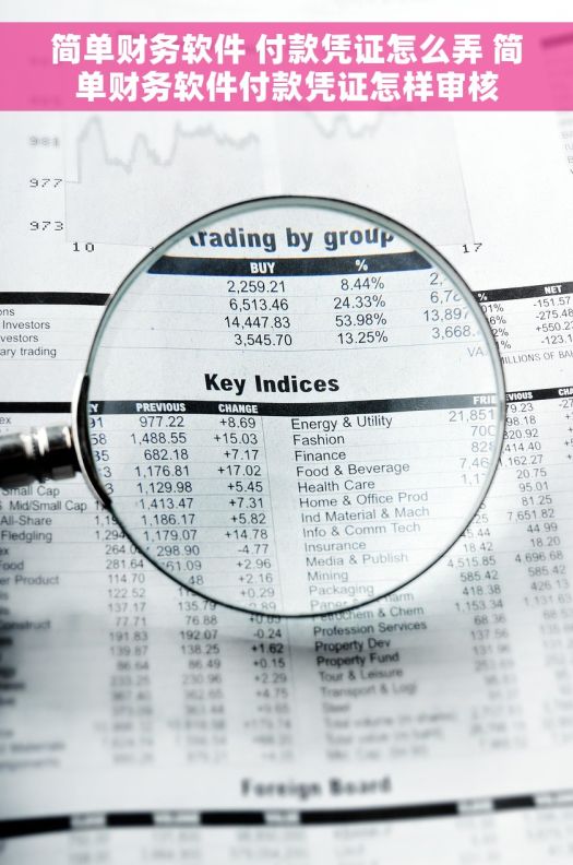 简单财务软件 付款凭证怎么弄 简单财务软件付款凭证怎样审核 简单财务软件 付款凭证怎么弄 简单财务软件付款凭证怎样审核