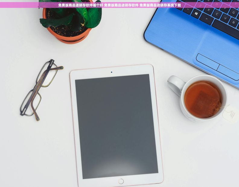 免费版商品进销存软件哪个好 免费版商品进销存软件 免费版商品进销存系统下载