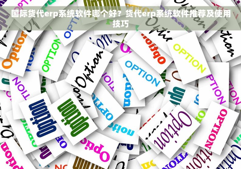 国际货代erp系统软件哪个好？货代erp系统软件推荐及使用技巧