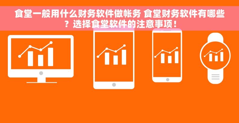 食堂一般用什么财务软件做帐务 食堂财务软件有哪些？选择食堂软件的注意事项！