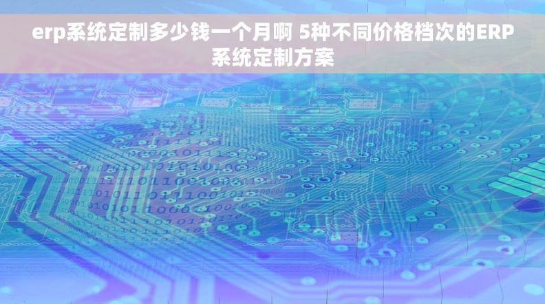 erp系统定制多少钱一个月啊 5种不同价格档次的ERP系统定制方案 erp系统定制多少钱一个月啊 5种不同价格档次的ERP系统定制方案