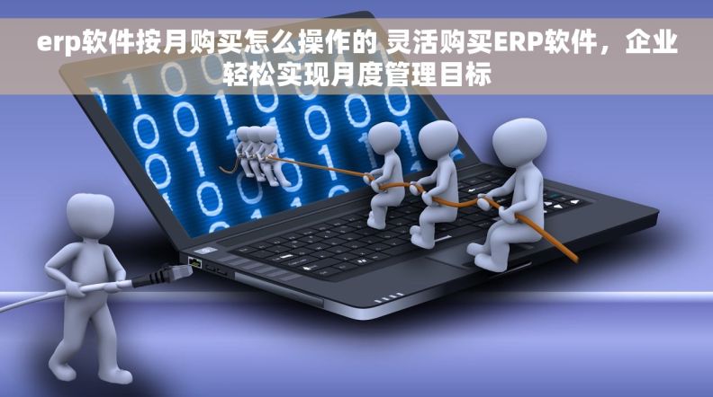erp软件按月购买怎么操作的 灵活购买ERP软件,企业轻松实现月度管理目标 erp软件按月购买怎么操作的 灵活购买ERP软件,企业轻松实现月度管理目标