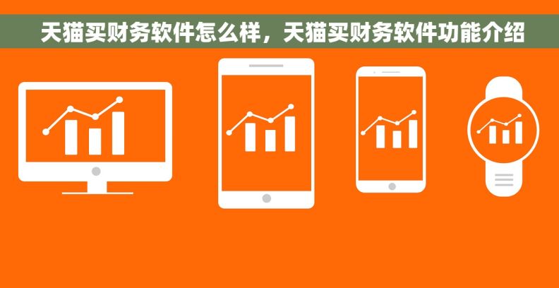  天猫买财务软件怎么样，天猫买财务软件功能介绍