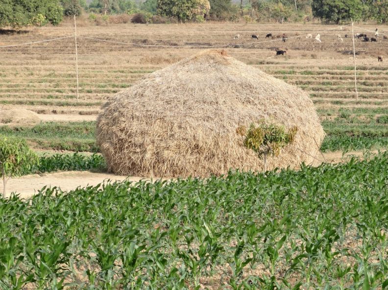 农业行业最好的财务软件是哪个 农业行业最好的财务软件 农业人士首选的财务管理利器! 农业行业最好的财务软件是哪个 农业行业最好的财务软件 农业人士首选的财务管理利器!