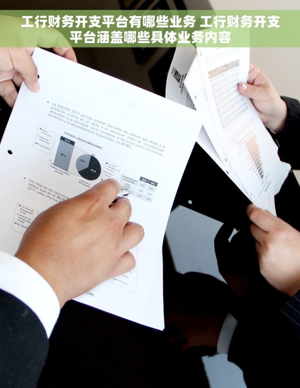 工行财务开支平台有哪些业务 工行财务开支平台涵盖哪些具体业务内容 工行财务开支平台有哪些业务 工行财务开支平台涵盖哪些具体业务内容