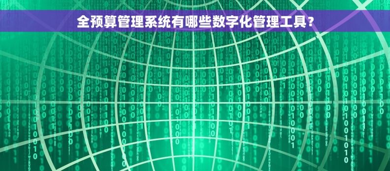 全预算管理系统有哪些数字化管理工具？