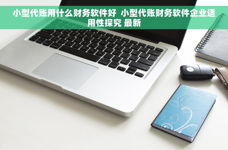 小型代账用什么财务软件好  小型代账财务软件企业适用性探究 最新