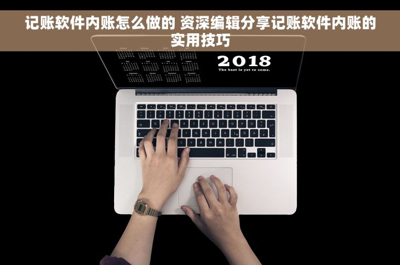 记账软件内账怎么做的 资深编辑分享记账软件内账的实用技巧 记账软件内账怎么做的 资深编辑分享记账软件内账的实用技巧