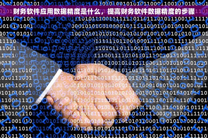 财务软件应用数据精度是什么,提高财务软件数据精度的步骤 财务软件应用数据精度是什么,提高财务软件数据精度的步骤