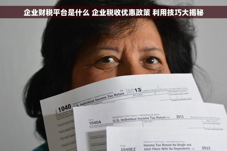 企业财税平台是什么 企业税收优惠政策 利用技巧大揭秘