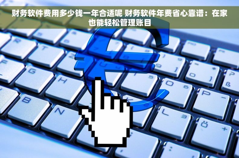 财务软件费用多少钱一年合适呢 财务软件年费省心靠谱:在家也能轻松管理账目 财务软件费用多少钱一年合适呢 财务软件年费省心靠谱:在家也能轻松管理账目