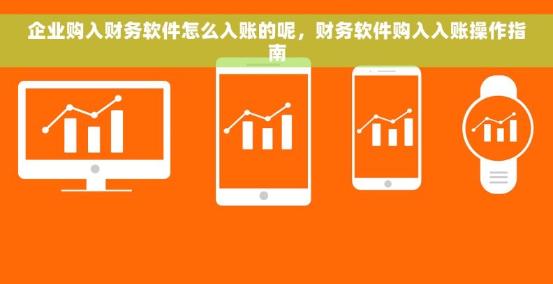 企业购入财务软件怎么入账的呢,财务软件购入入账操作指南 企业购入财务软件怎么入账的呢,财务软件购入入账操作指南