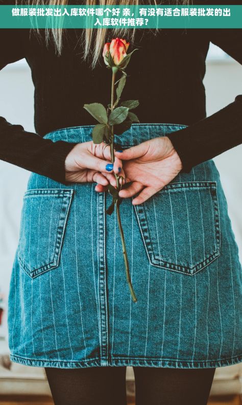 做服装批发出入库软件哪个好 亲,有没有适合服装批发的出入库软件推荐? 做服装批发出入库软件哪个好 亲,有没有适合服装批发的出入库软件推荐?