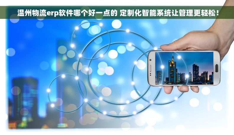  温州物流erp软件哪个好一点的 定制化智能系统让管理更轻松！