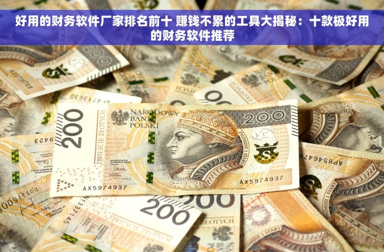 好用的财务软件厂家排名前十 赚钱不累的工具大揭秘:十款极好用的财务软件推荐 好用的财务软件厂家排名前十 赚钱不累的工具大揭秘:十款极好用的财务软件推荐