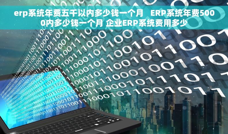 erp系统年费五千以内多少钱一个月   ERP系统年费5000内多少钱一个月 企业ERP系统费用多少