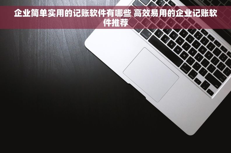企业简单实用的记账软件有哪些 高效易用的企业记账软件推荐 企业简单实用的记账软件有哪些 高效易用的企业记账软件推荐