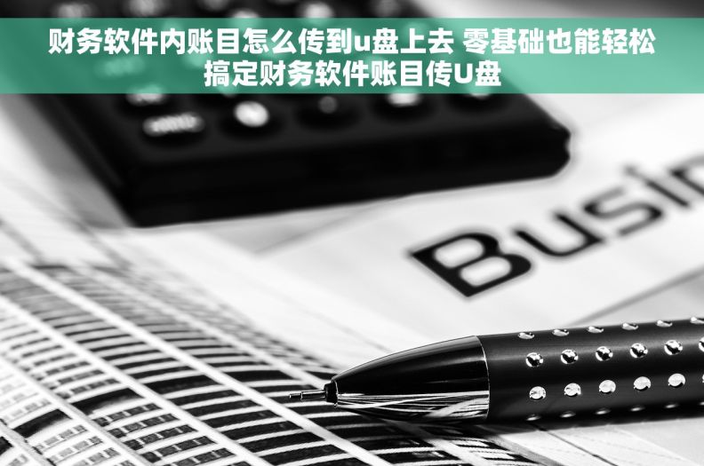 财务软件内账目怎么传到u盘上去 零基础也能轻松搞定财务软件账目传U盘