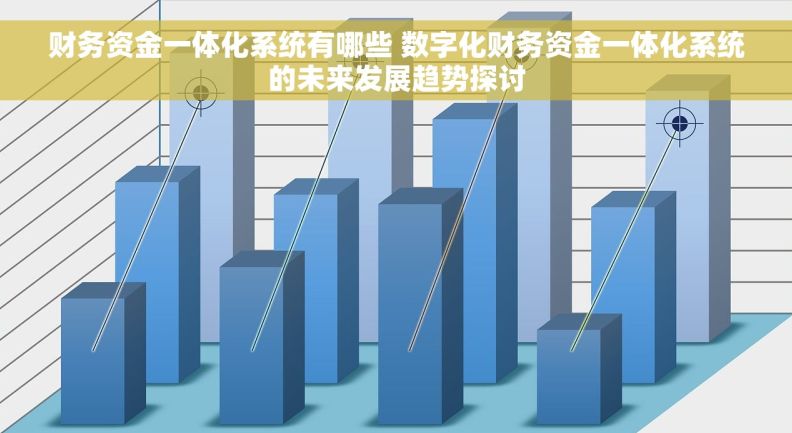 财务资金一体化系统有哪些 数字化财务资金一体化系统的未来发展趋势探讨