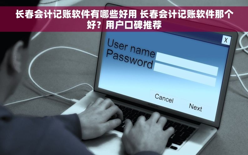 长春会计记账软件有哪些好用 长春会计记账软件那个好？用户口碑推荐