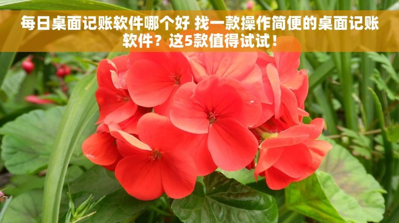 每日桌面记账软件哪个好 找一款操作简便的桌面记账软件？这5款值得试试！