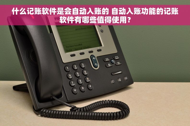 什么记账软件是会自动入账的 自动入账功能的记账软件有哪些值得使用？