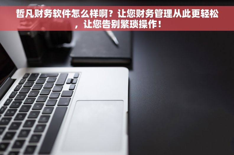 哲凡财务软件怎么样啊？让您财务管理从此更轻松，让您告别繁琐操作！