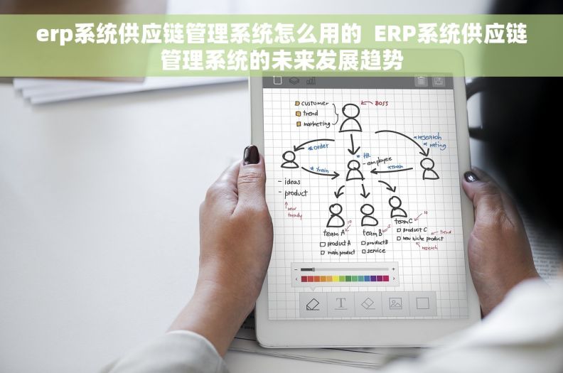 erp系统供应链管理系统怎么用的  ERP系统供应链管理系统的未来发展趋势
