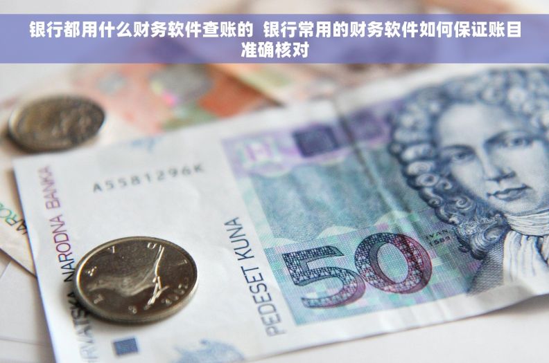 银行都用什么财务软件查账的  银行常用的财务软件如何保证账目准确核对