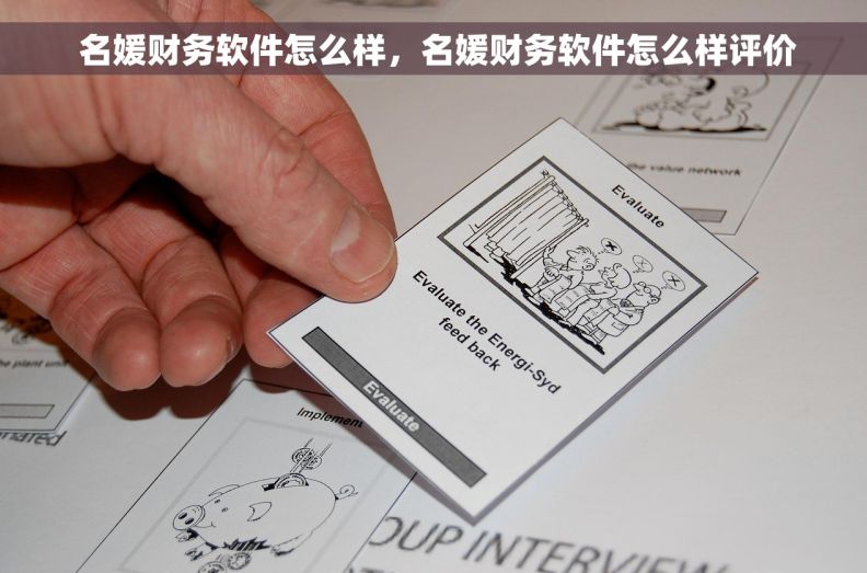  名媛财务软件怎么样，名媛财务软件怎么样评价