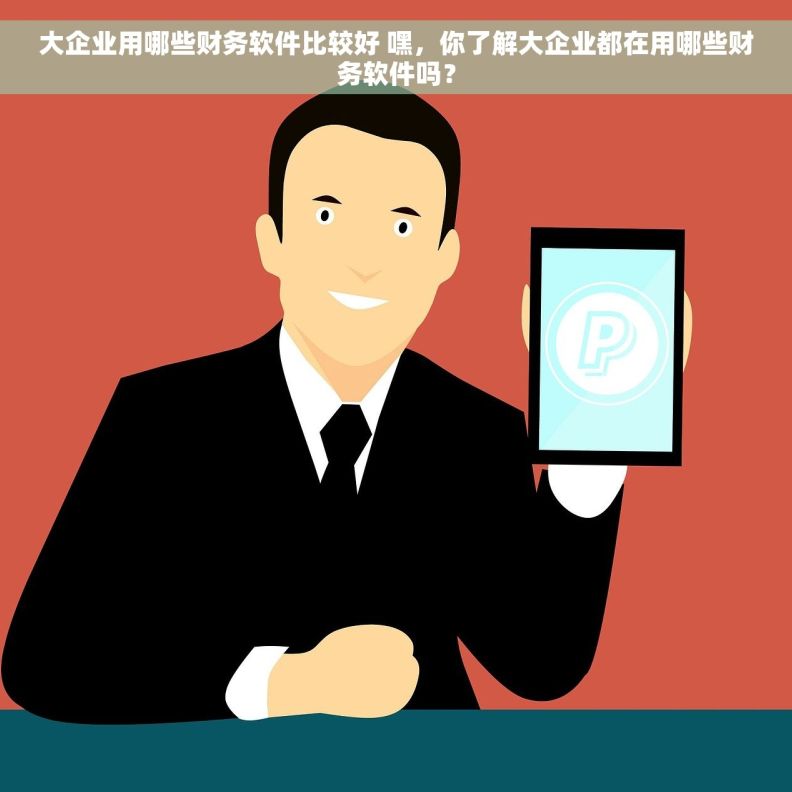 大企业用哪些财务软件比较好 嘿,你了解大企业都在用哪些财务软件吗? 大企业用哪些财务软件比较好 嘿,你了解大企业都在用哪些财务软件吗?
