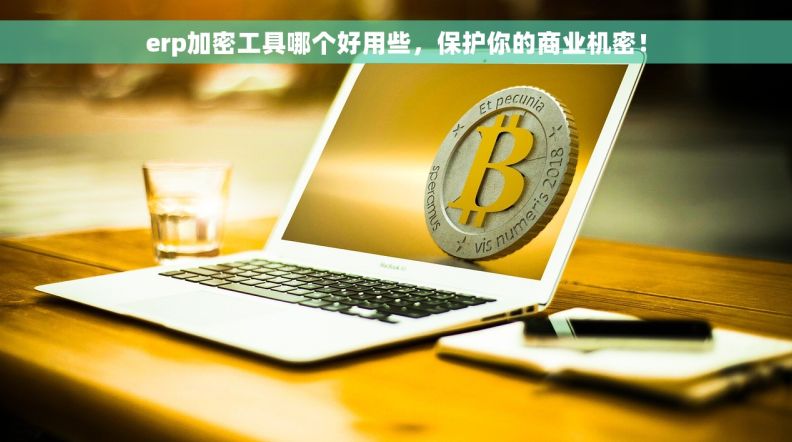 erp加密工具哪个好用些，保护你的商业机密！