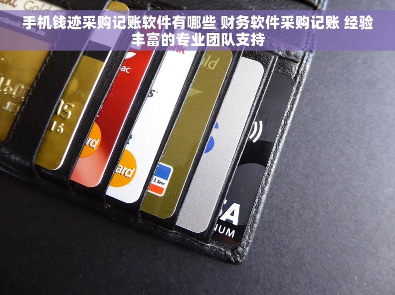 手机钱迹采购记账软件有哪些 财务软件采购记账 经验丰富的专业团队支持
