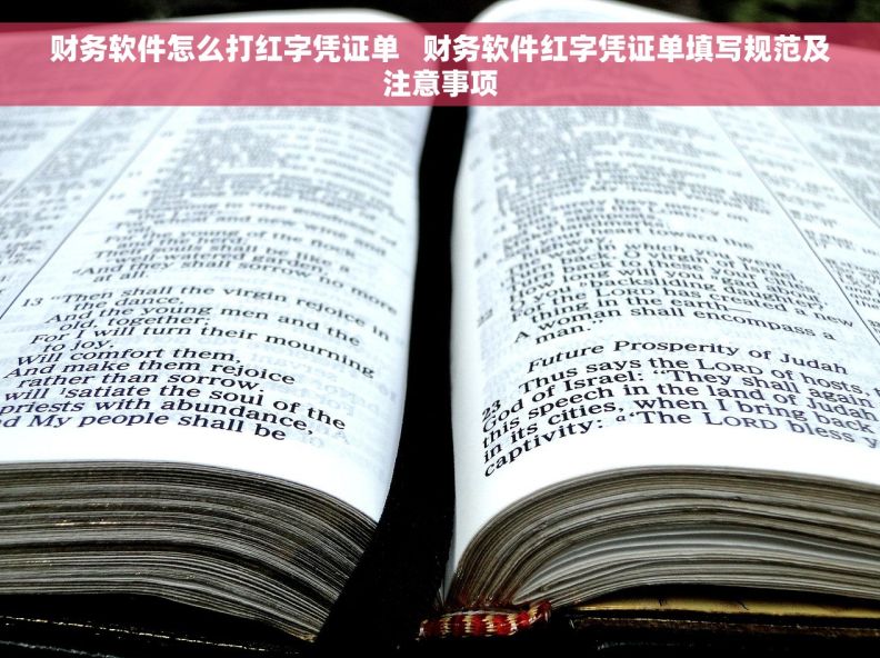 财务软件怎么打红字凭证单   财务软件红字凭证单填写规范及注意事项