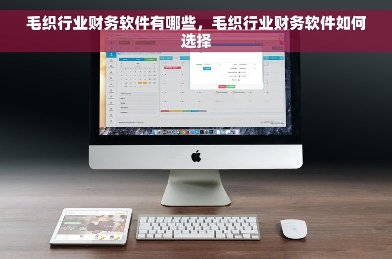 毛织行业财务软件有哪些,毛织行业财务软件如何选择 毛织行业财务软件有哪些,毛织行业财务软件如何选择