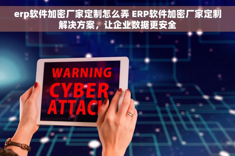 erp软件加密厂家定制怎么弄 ERP软件加密厂家定制解决方案，让企业数据更安全