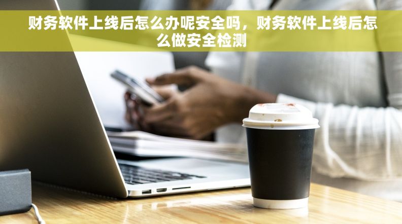  财务软件上线后怎么办呢安全吗，财务软件上线后怎么做安全检测
