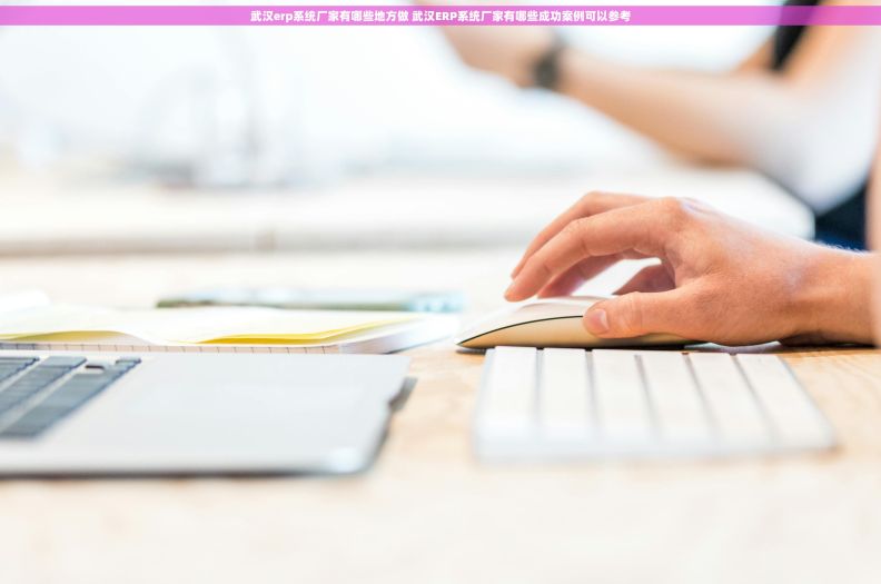 武汉erp系统厂家有哪些地方做 武汉ERP系统厂家有哪些成功案例可以参考