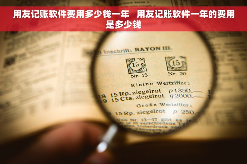 用友记账软件费用多少钱一年   用友记账软件一年的费用是多少钱