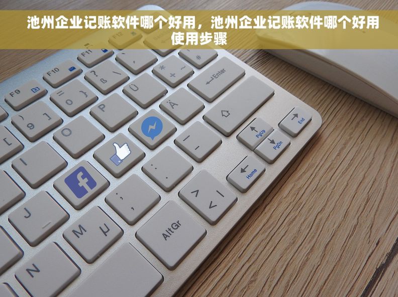 池州企业记账软件哪个好用,池州企业记账软件哪个好用使用步骤 池州企业记账软件哪个好用,池州企业记账软件哪个好用使用步骤