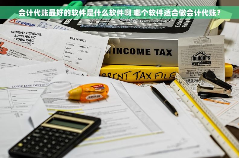 会计代账最好的软件是什么软件啊 哪个软件适合做会计代账? 会计代账最好的软件是什么软件啊 哪个软件适合做会计代账?