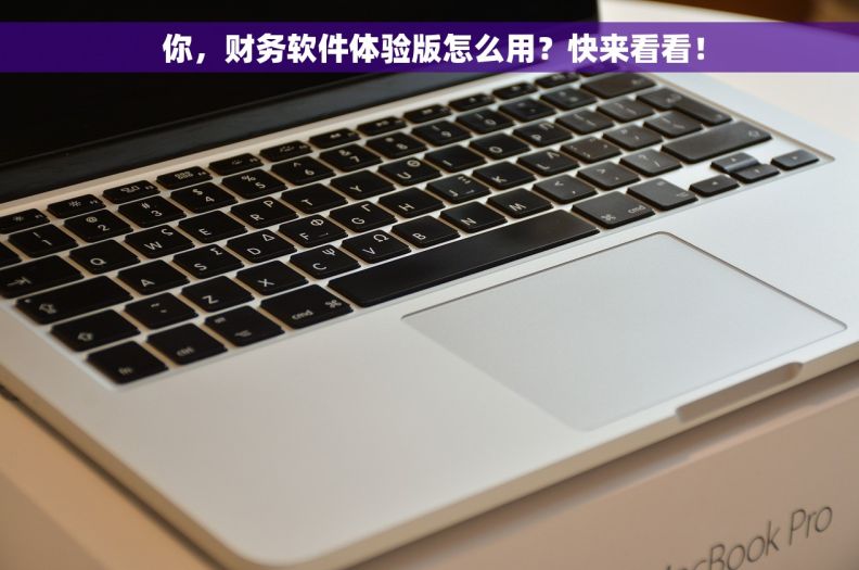 你,财务软件体验版怎么用?快来看看!  你,财务软件体验版怎么用?快来看看!