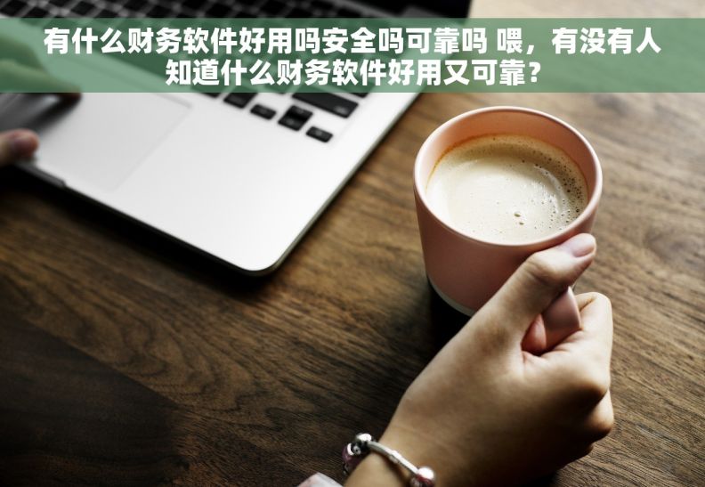 有什么财务软件好用吗安全吗可靠吗 喂,有没有人知道什么财务软件好用又可靠? 有什么财务软件好用吗安全吗可靠吗 喂,有没有人知道什么财务软件好用又可靠?
