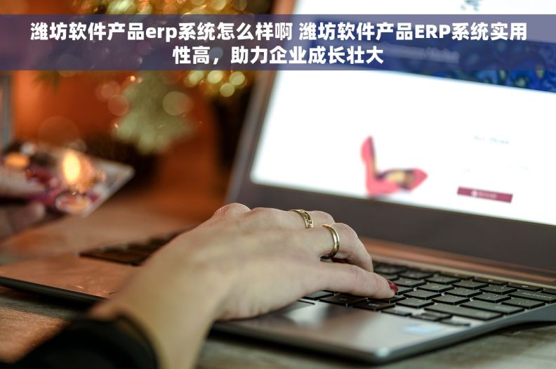 潍坊软件产品erp系统怎么样啊 潍坊软件产品ERP系统实用性高，助力企业成长壮大