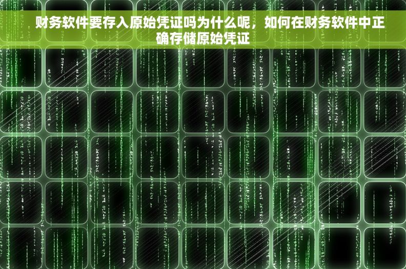 财务软件要存入原始凭证吗为什么呢,如何在财务软件中正确存储原始凭证 财务软件要存入原始凭证吗为什么呢,如何在财务软件中正确存储原始凭证