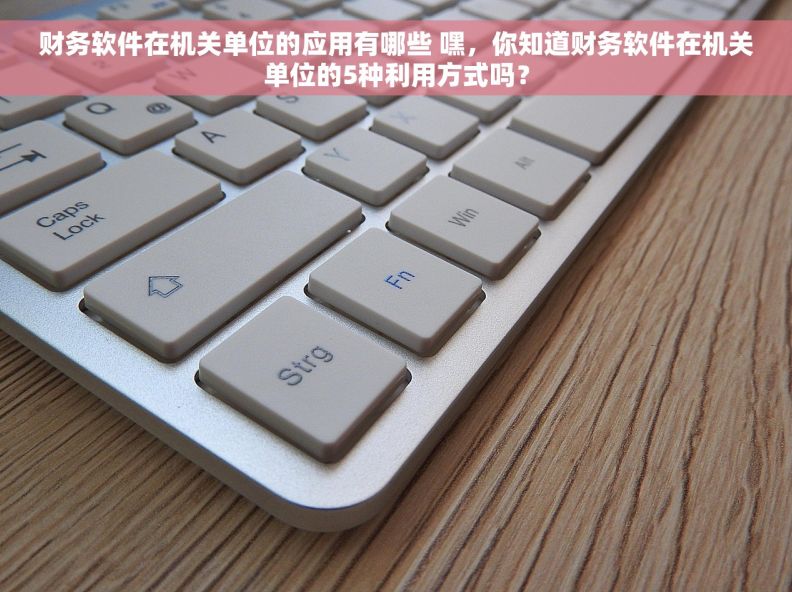 财务软件在机关单位的应用有哪些 嘿,你知道财务软件在机关单位的5种利用方式吗? 财务软件在机关单位的应用有哪些 嘿,你知道财务软件在机关单位的5种利用方式吗?