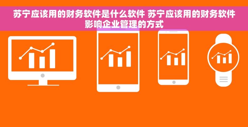苏宁应该用的财务软件是什么软件 苏宁应该用的财务软件影响企业管理的方式 苏宁应该用的财务软件是什么软件 苏宁应该用的财务软件影响企业管理的方式