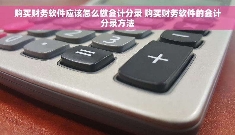 购买财务软件应该怎么做会计分录 购买财务软件的会计分录方法 购买财务软件应该怎么做会计分录 购买财务软件的会计分录方法