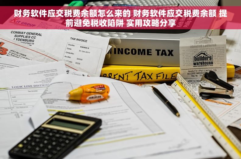 财务软件应交税费余额怎么来的 财务软件应交税费余额 提前避免税收陷阱 实用攻略分享